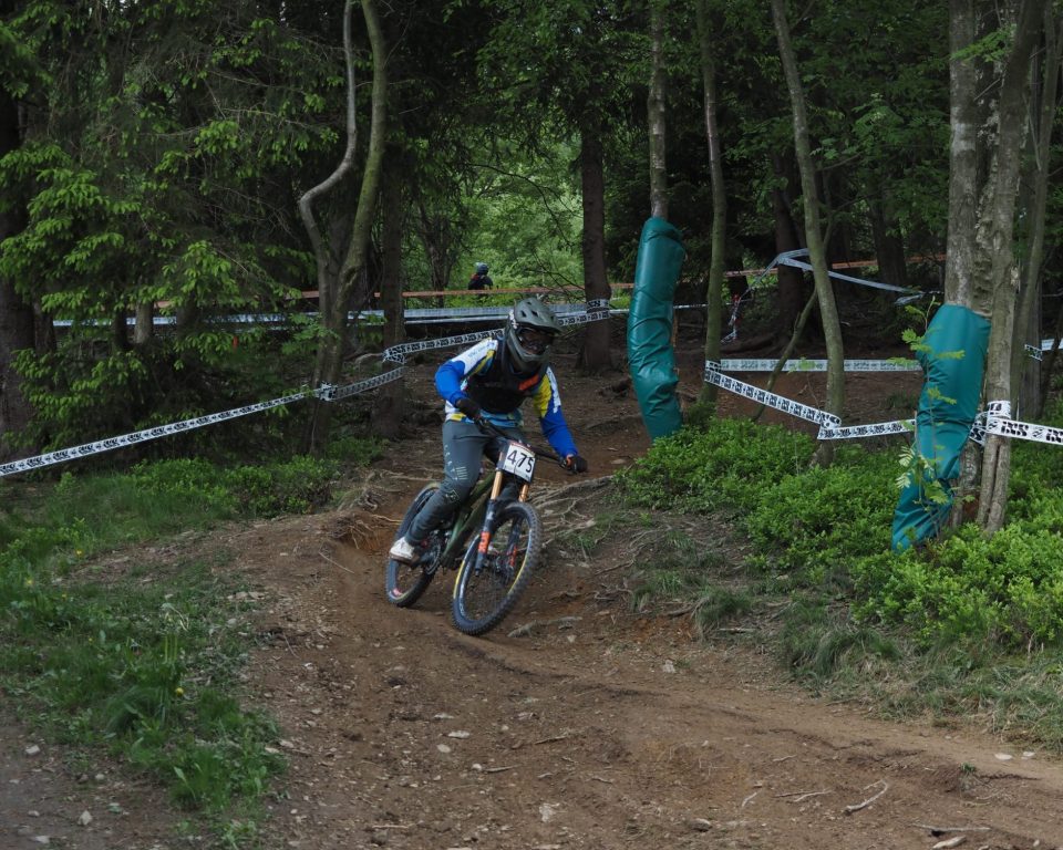 Julian Ausgang Wald 2